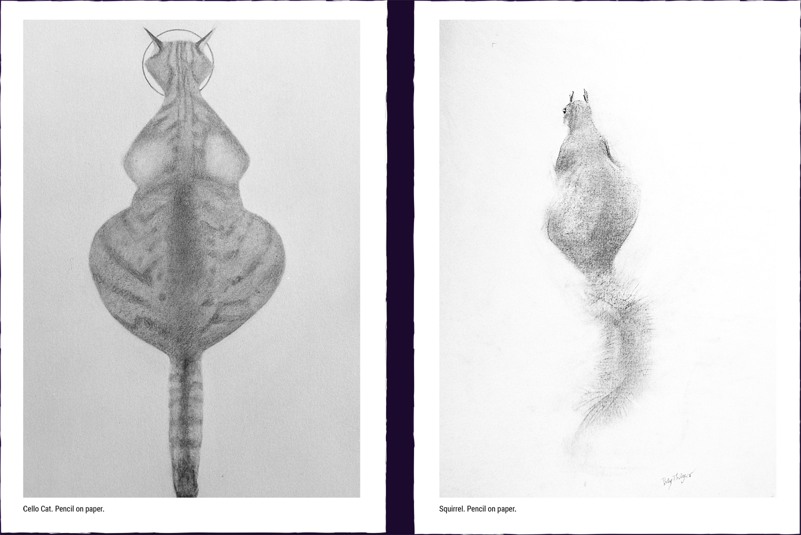 Two animal paintings. (1) Cello Cat. Pencil on paper. (2) Squirrel. Pencil on paper.