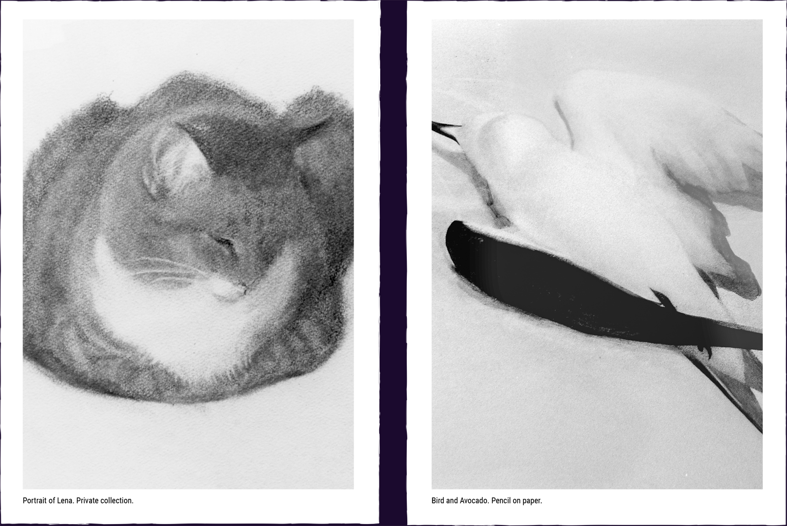 Two animal paintings. (1) Portrait of Lena. Private collection. (2) Bird and Avocado. Pencil on paper.