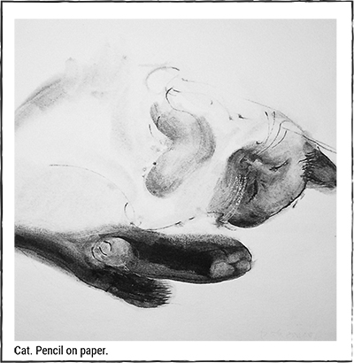 Cat. Pencil on paper.