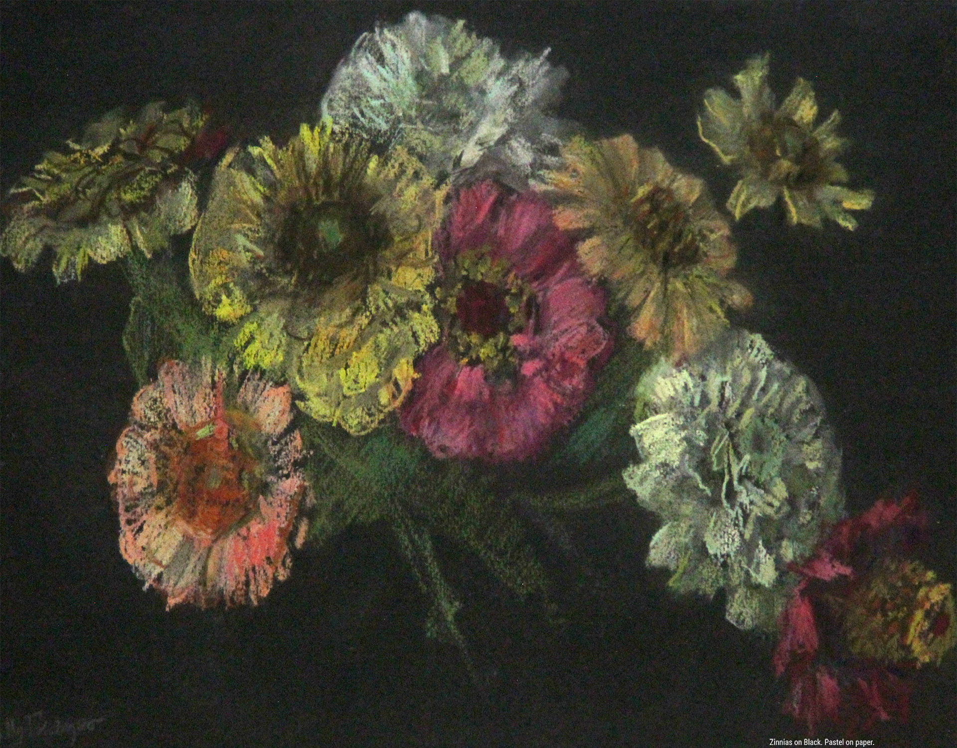 Zinnias on Black. Pastel on paper.